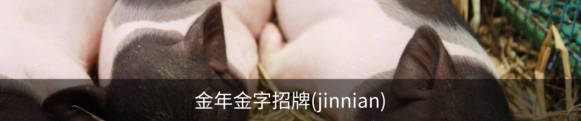 金年金字招牌(jinnian)诚信至上-officialpl